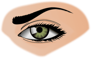 eye
